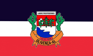 Bandeira do Município de Olivença