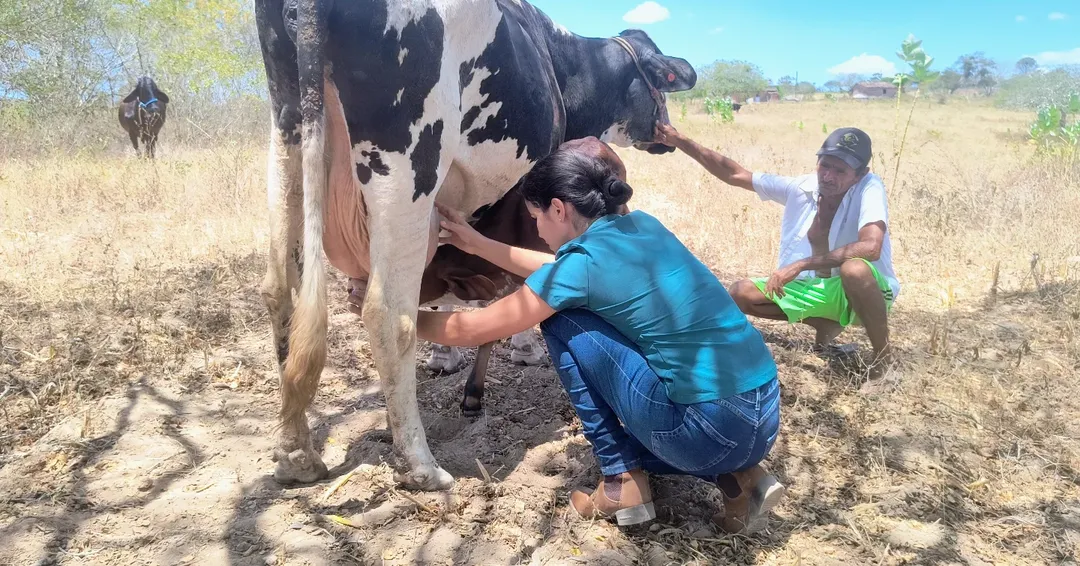 Visita técnica no campo! 🌱🐄A veterinária @cleisla_goncalvesvet realizou uma visita ao agricul